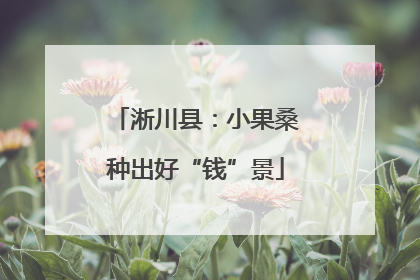 淅川县：小果桑种出好“钱”景