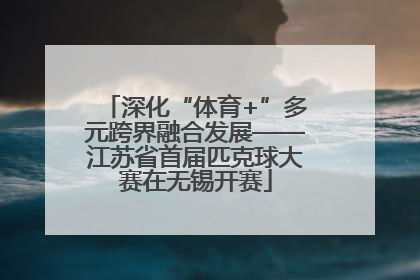 深化“体育+”多元跨界融合发展——江苏省首届匹克球大赛在无锡开赛