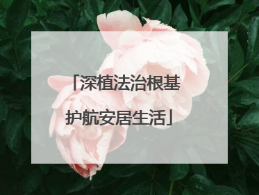 深植法治根基 护航安居生活