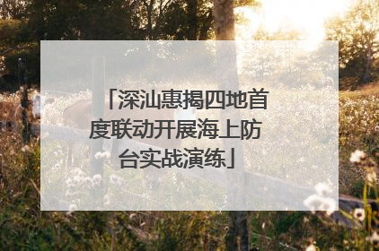 深汕惠揭四地首度联动开展海上防台实战演练