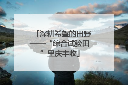 深耕希望的田野——“综合试验田”里庆丰收