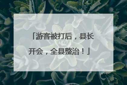 游客被打后，县长开会，全县整治！