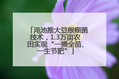 渑池推大豆根瘤菌技术，1.3万亩农田实现“一播全苗、一生节肥”