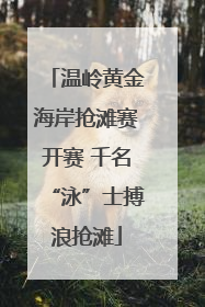 温岭黄金海岸抢滩赛开赛 千名“泳”士搏浪抢滩