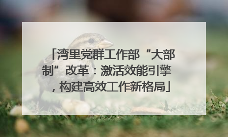 湾里党群工作部“大部制”改革：激活效能引擎，构建高效工作新格局