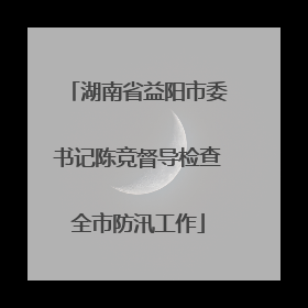 湖南省益阳市委书记陈竞督导检查全市防汛工作