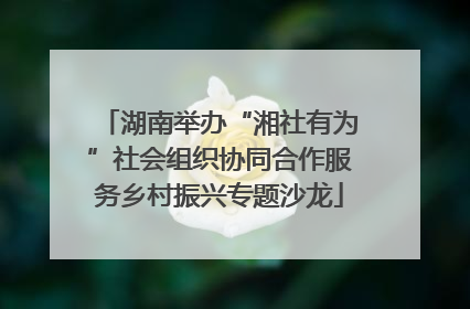 湖南举办“湘社有为”社会组织协同合作服务乡村振兴专题沙龙