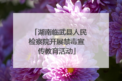 湖南临武县人民检察院开展禁毒宣传教育活动