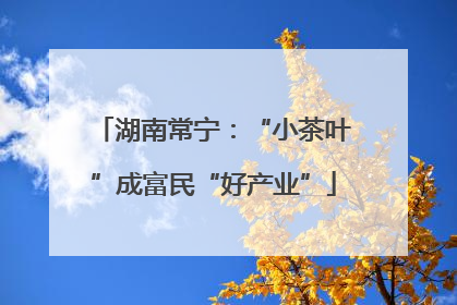 湖南常宁：“小茶叶”成富民“好产业”