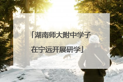 湖南师大附中学子在宁远开展研学