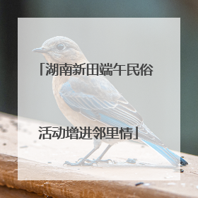 湖南新田端午民俗活动增进邻里情