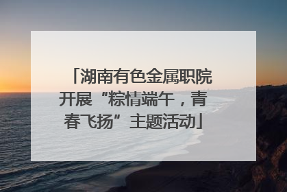湖南有色金属职院开展“粽情端午，青春飞扬”主题活动