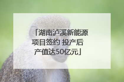 湖南泸溪新能源项目签约 投产后产值达50亿元