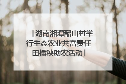湖南湘潭韶山村举行生态农业共富责任田插秧助农活动