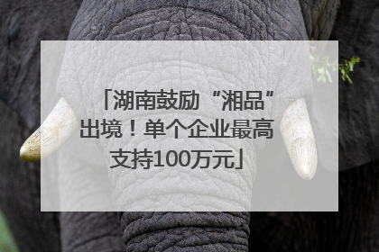 湖南鼓励“湘品”出境！单个企业最高支持100万元