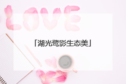 湖光鹭影生态美