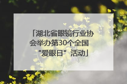 湖北省眼镜行业协会举办第30个全国“爱眼日”活动