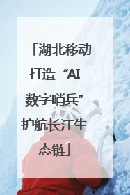 湖北移动打造“AI数字哨兵”护航长江生态链