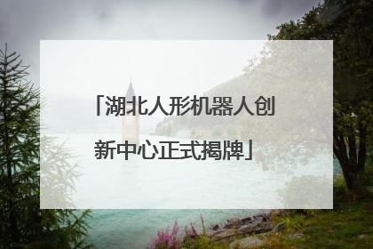 湖北人形机器人创新中心正式揭牌