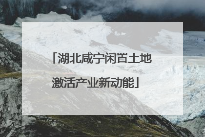 湖北咸宁闲置土地激活产业新动能