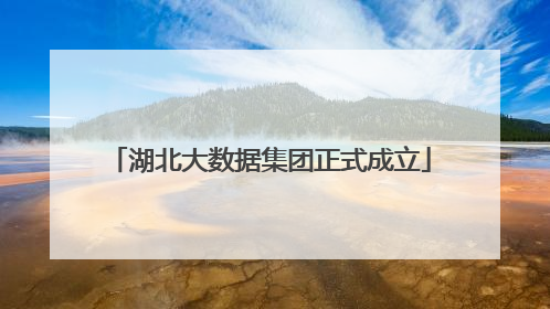 湖北大数据集团正式成立