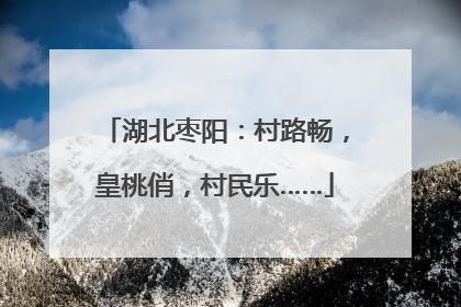 湖北枣阳：村路畅，皇桃俏，村民乐……