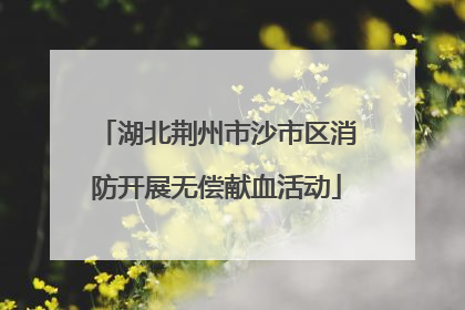 湖北荆州市沙市区消防开展无偿献血活动