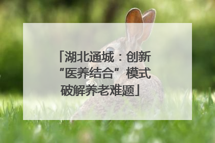 湖北通城：创新 “医养结合”模式 破解养老难题