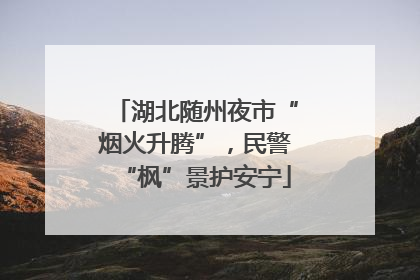 湖北随州夜市“烟火升腾”，民警“枫”景护安宁
