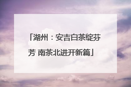 湖州：安吉白茶绽芬芳 南茶北进开新篇