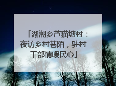 湖潮乡芦猫塘村：夜访乡村巷陌，驻村干部情暖民心