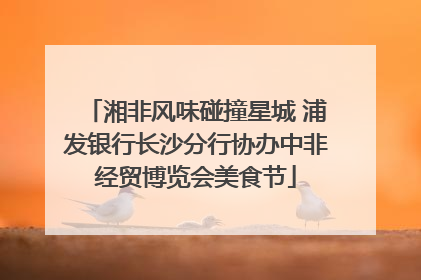 湘非风味碰撞星城 浦发银行长沙分行协办中非经贸博览会美食节