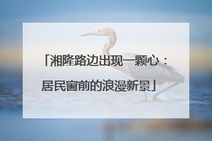 湘隆路边出现一颗心：居民窗前的浪漫新景