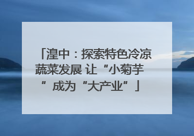 湟中：探索特色冷凉蔬菜发展 让“小菊芋”成为“大产业”