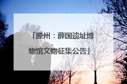 滕州：薛国遗址博物馆文物征集公告