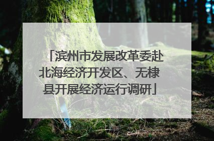 滨州市发展改革委赴北海经济开发区、无棣县开展经济运行调研