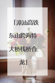 漳汕高铁东山跨海特大桥栈桥合龙
