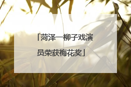 菏泽一柳子戏演员荣获梅花奖