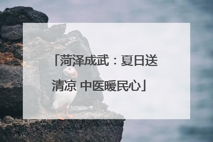 菏泽成武：夏日送清凉 中医暖民心