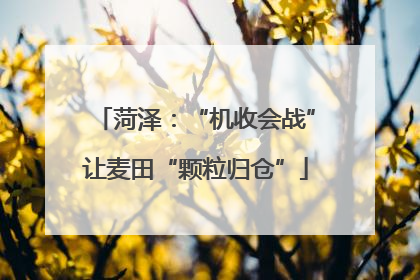 菏泽：“机收会战”让麦田“颗粒归仓”