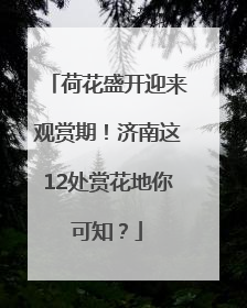 荷花盛开迎来观赏期！济南这12处赏花地你可知？
