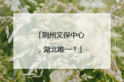 荆州文保中心，湖北唯一！