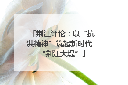 荆江评论：以“抗洪精神”筑起新时代“荆江大堤”