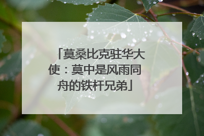 莫桑比克驻华大使：莫中是风雨同舟的铁杆兄弟