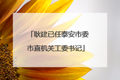 耿建已任泰安市委市直机关工委书记