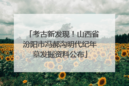 考古新发现！山西省汾阳市冯郝沟明代纪年墓发掘资料公布