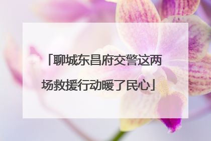 聊城东昌府交警这两场救援行动暖了民心