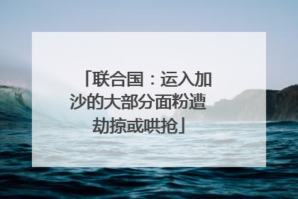 联合国：运入加沙的大部分面粉遭劫掠或哄抢