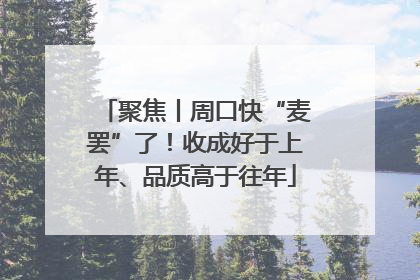 聚焦丨周口快“麦罢”了！收成好于上年、品质高于往年