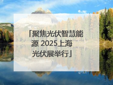 聚焦光伏智慧能源 2025上海光伏展举行